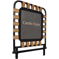 pilates cardio rebounder